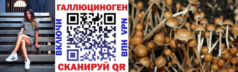Псилоцибиновые грибы прущие грибы  Троицк 